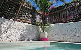 Mbaliparadise Guest Lodge Pemba